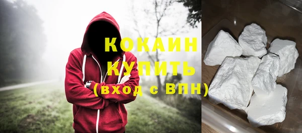 прущие грибы Аркадак