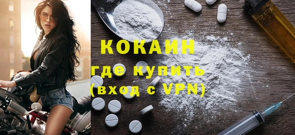 прущие грибы Аркадак