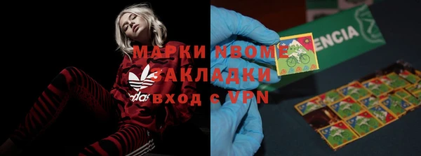 прущие грибы Аркадак
