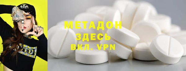 прущие грибы Аркадак