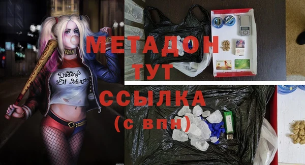 прущие грибы Аркадак