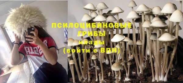 гидропоника Арсеньев