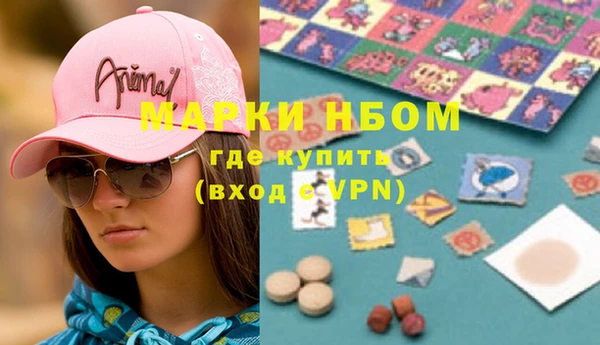 прущие грибы Аркадак