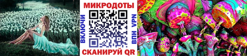Купить  Славянск-на-Кубани  Галлюциногенные грибы MAGIC MUSHROOMS 
